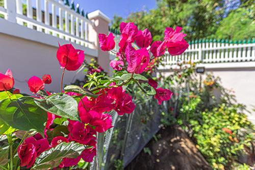 Villa Dalhia بوانت-نوار المظهر الخارجي الصورة